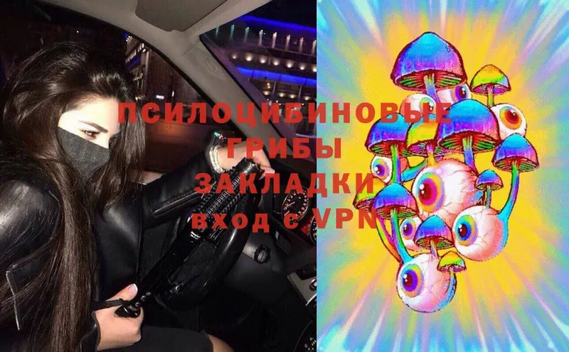 Галлюциногенные грибы Psilocybe  Салават 