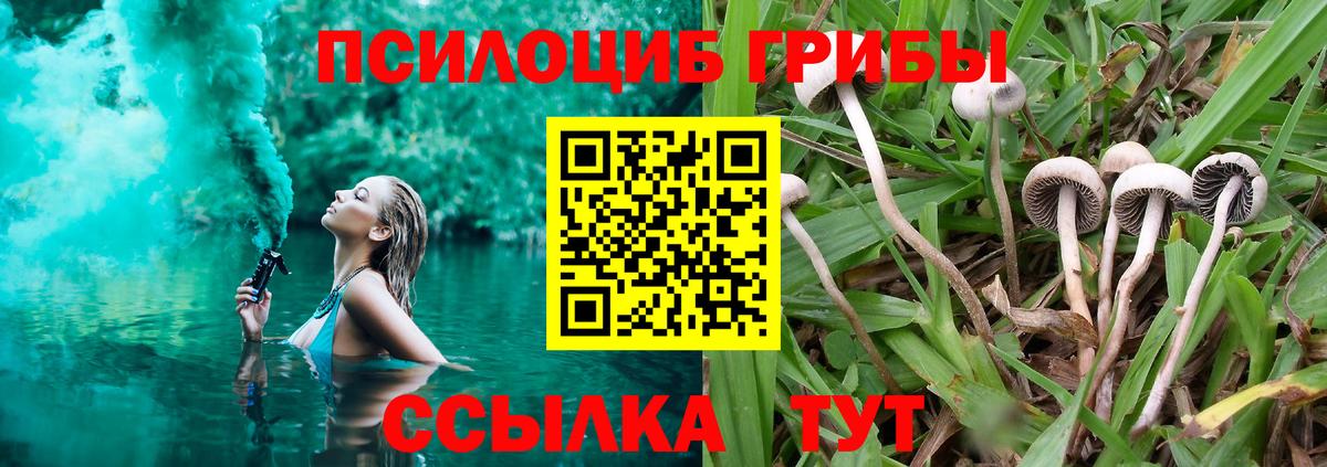 Галлюциногенные грибы Magic Shrooms Салават
