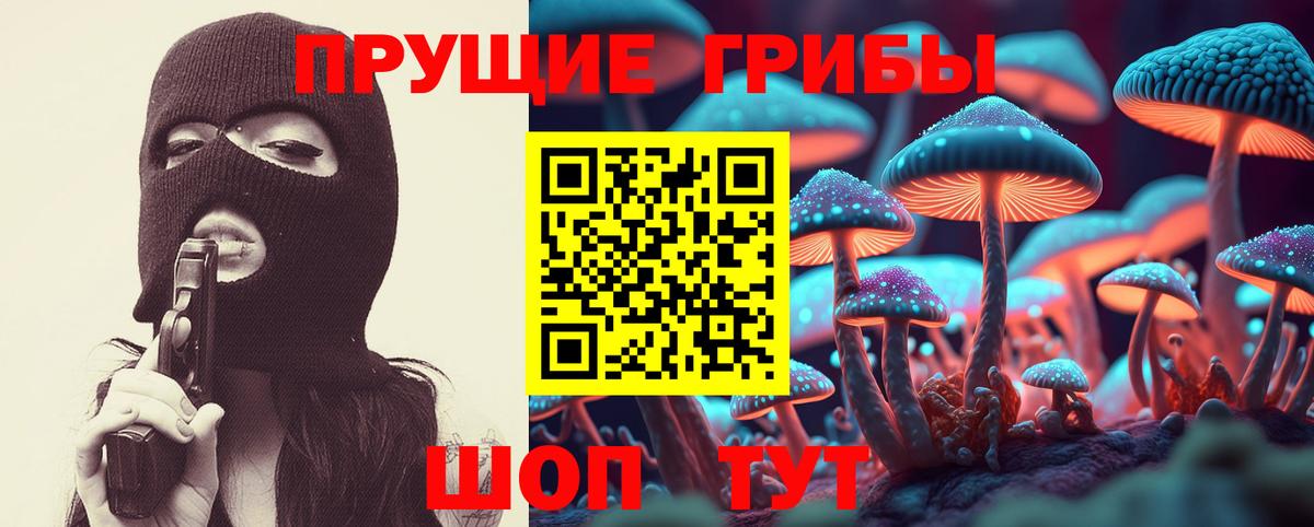 Салават  Галлюциногенные грибы Psilocybe  Вход с VPN 