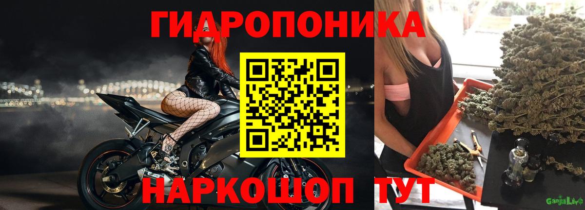 Каннабис LSD WEED  Канабис индика  Салават  Конопля THC 21% 